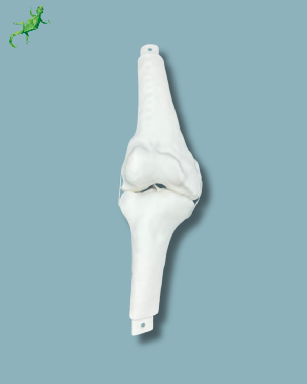 Consumable part / Addi-CORT+ - Ref 04-16-02