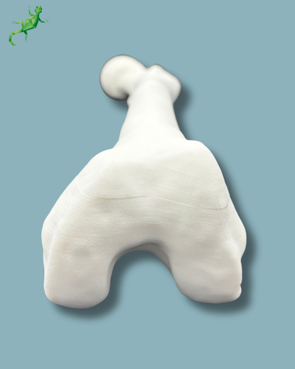 Femur / Medium / Left / Addi CORT+ - Ref 05-02-02 - Image 5