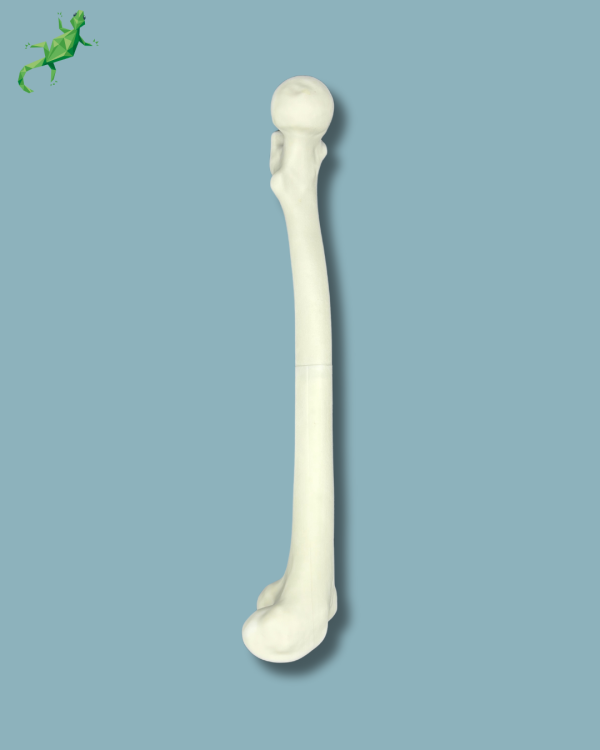 Femur / Medium / Left / Addi CORT+ - Ref 05-02-02 - Image 2