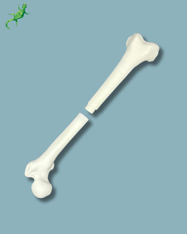 Pack Femur / Moyen / Gauche / Addi-CORT+ Addi-ARC - Ref 05-08-02 – Image 2