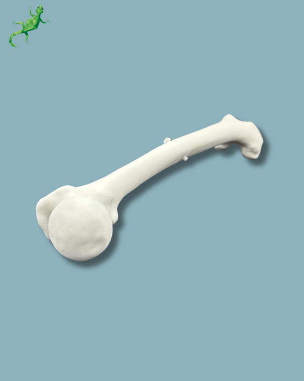 Femur Pack / Medium / Left / Addi-CORT+ Addi-ARC - Ref 05-08-02 - Image 9