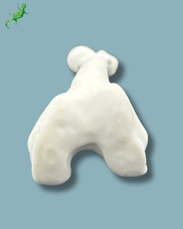 Pack Femur / Moyen / Gauche / Addi-CORT+ Addi-ARC - Ref 05-08-02 – Image 9