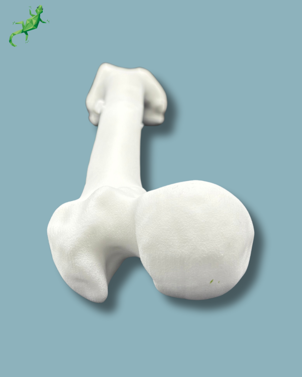 Pack Femur / Moyen / Gauche / Addi-CORT+ Addi-ARC - Ref 05-08-02 – Image 10