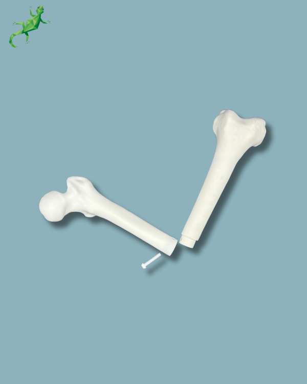 Pack Femur / Moyen / Gauche / Addi-CORT+ Addi-ARC - Ref 05-08-02