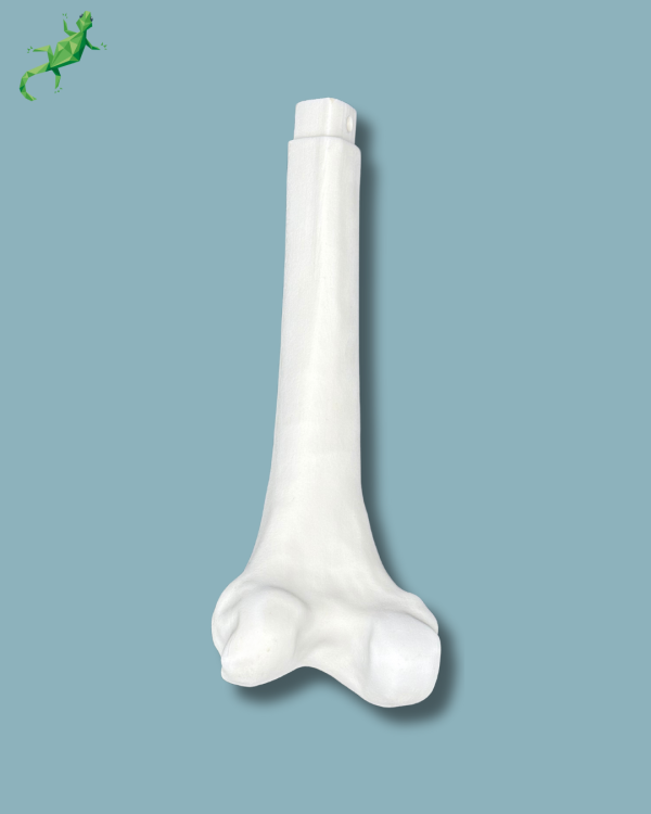 Femur consumable part / Medium / Left / Addi-CORT+ - Ref 05-09-02 - Image 3