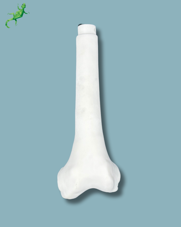Femur consumable part / Medium / Left / Addi-CORT+ - Ref 05-09-02