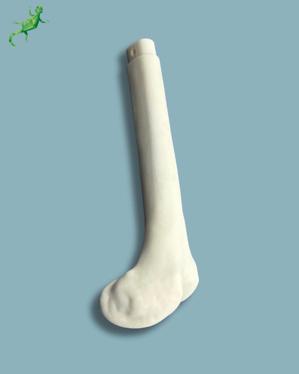 Femur consumable part / Medium / Left / Addi-CORT+ - Ref 05-09-02 - Image 4