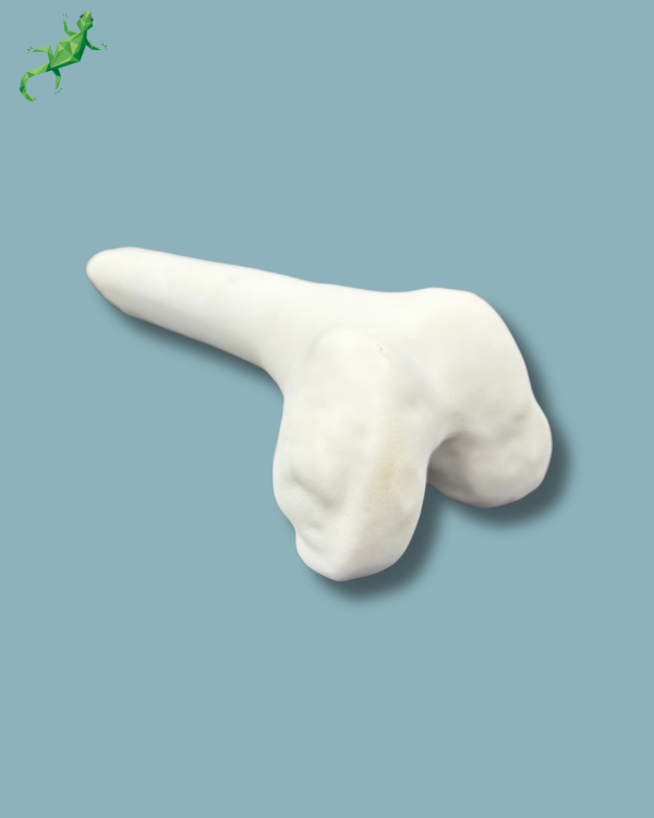 Femur consumable part / Medium / Left / Addi-CORT+ - Ref 05-09-02 - Image 6