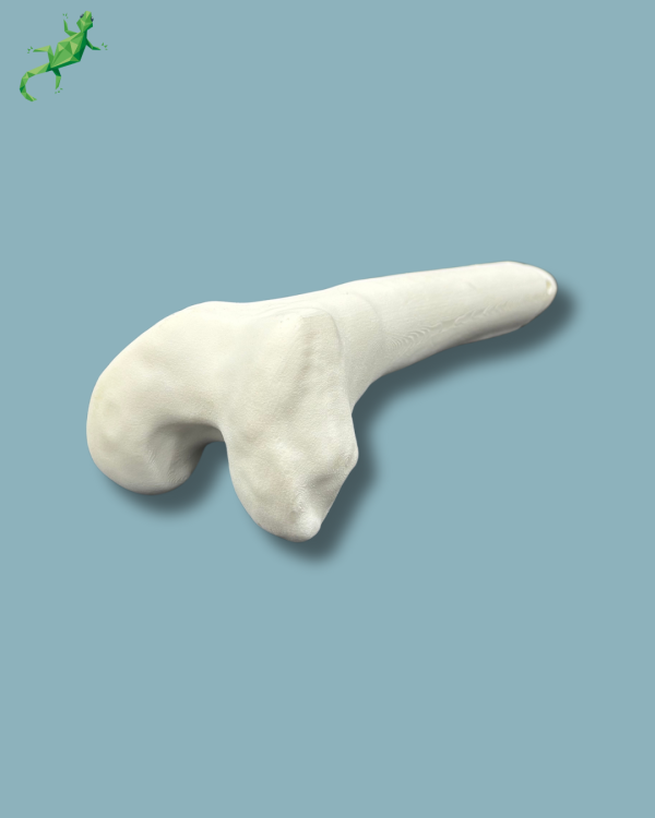Femur consumable part / Medium / Left / Addi-CORT+ - Ref 05-09-02 - Image 5