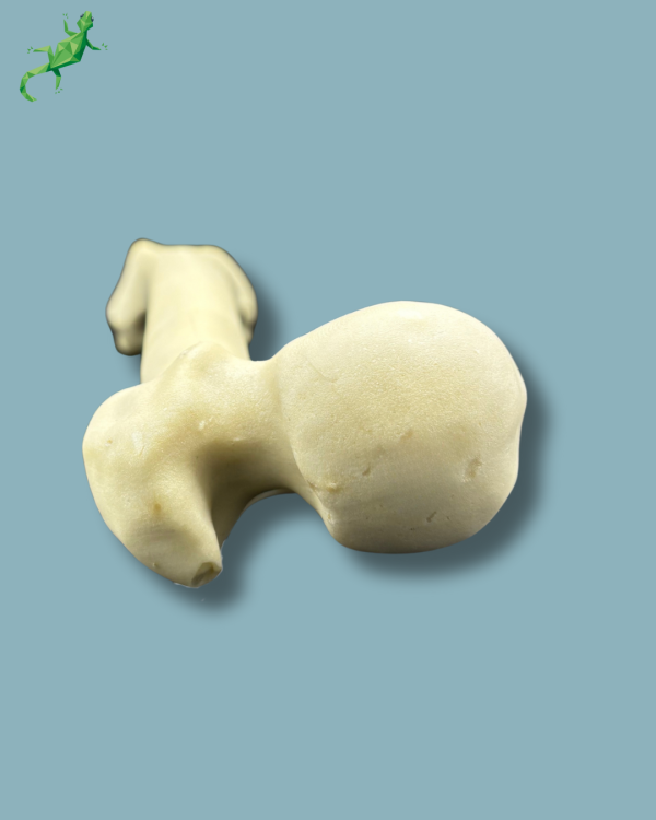 Femur / Medium / Addi-CORT - Ref 05-04-01 - Image 7