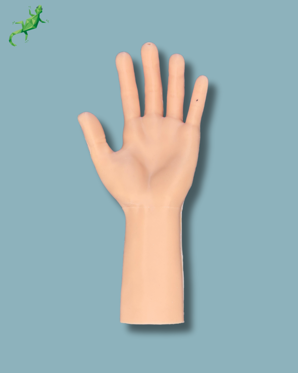 Hand / Left / Addi-CORT+ Addi-SOFT Addi-SKIN - Ref 11-04-02 - Image 6