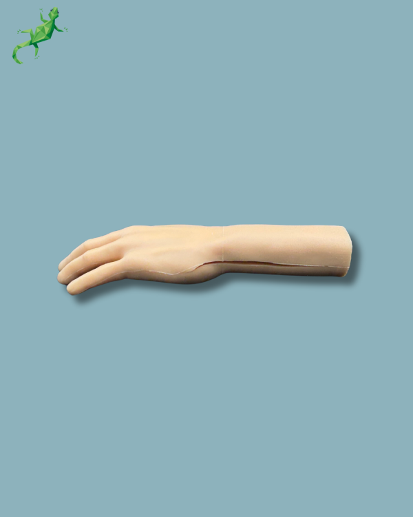 Hand / Left / Addi-CORT+ Addi-SOFT Addi-SKIN - Ref 11-04-02 - Image 5