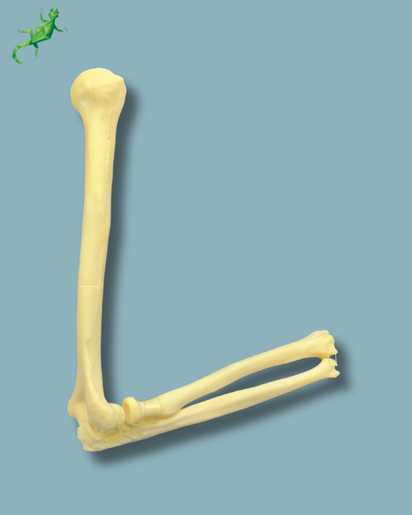 Elbow / Addi-CAN - Ref 14-02-02 - Image 6
