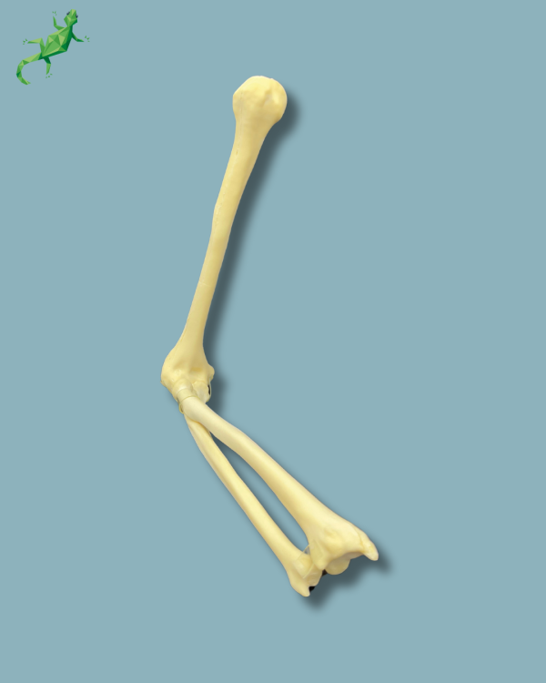 Elbow / Addi-CAN - Ref 14-02-02 - Image 4