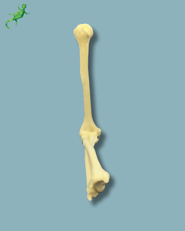 Elbow / Addi-CAN - Ref 14-02-02 - Image 3