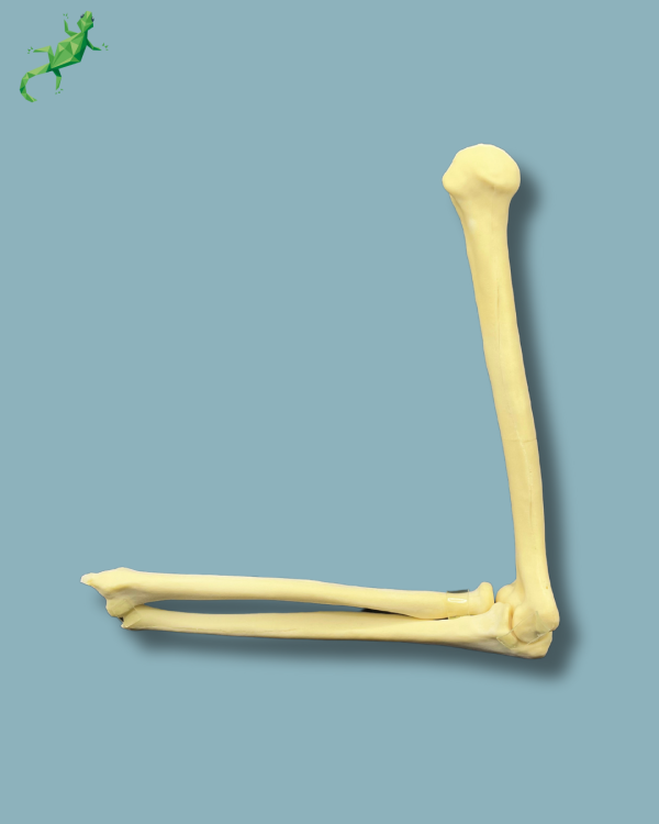 Elbow / Addi-CAN - Ref 14-02-02