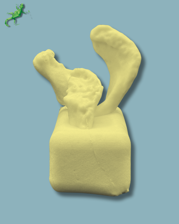 Scapula type D / Addi-CAN Addi-CLAMP - Ref 17-05-01 - Image 3