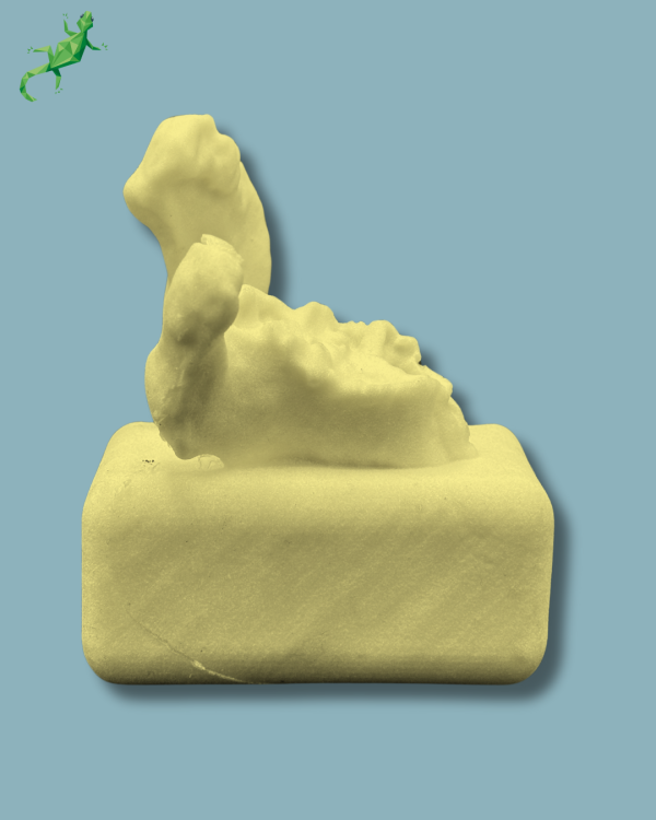 Scapula type D / Addi-CAN Addi-CLAMP - Ref 17-05-01 - Image 4