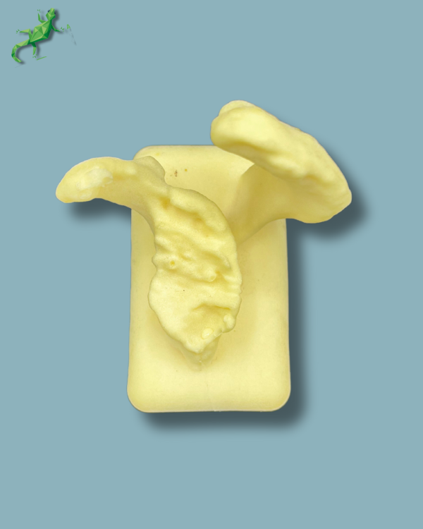 Scapula type D / Addi-CAN Addi-CLAMP - Ref 17-05-01