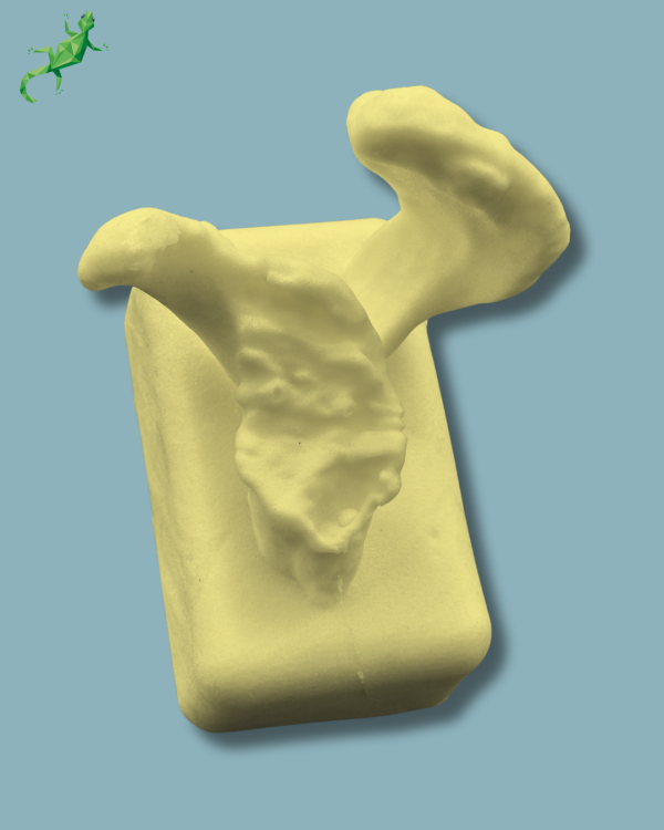 Scapula type D / Addi-CAN Addi-CLAMP - Ref 17-05-01 - Image 7