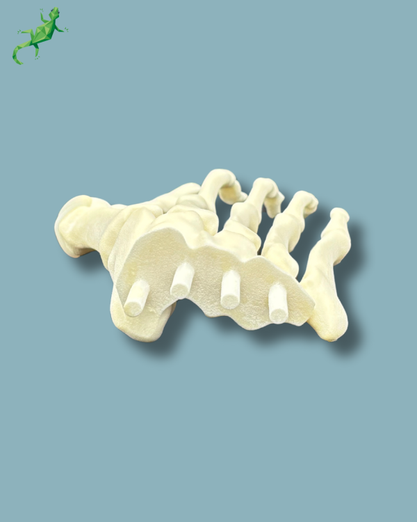 Replaceable forefoot right with deformity - Ref 01-15-02 - Image 7