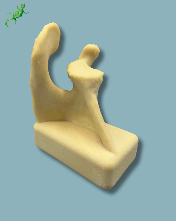 Scapula / Right / Addi-CAN Addi-CLAMP - Ref 17-01-02 - Image 9