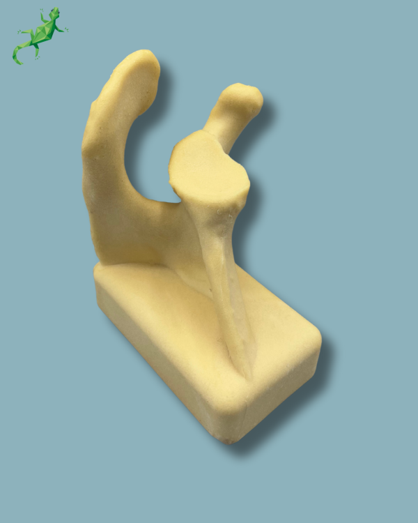 Scapula / Right / Addi-CAN Addi-CLAMP - Ref 17-01-02 - Image 6
