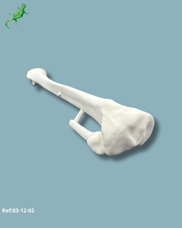 Tibia Pack / Medium / Left / Add-CORT+ Addi-ARC - Ref 03-12-02 - Image 5