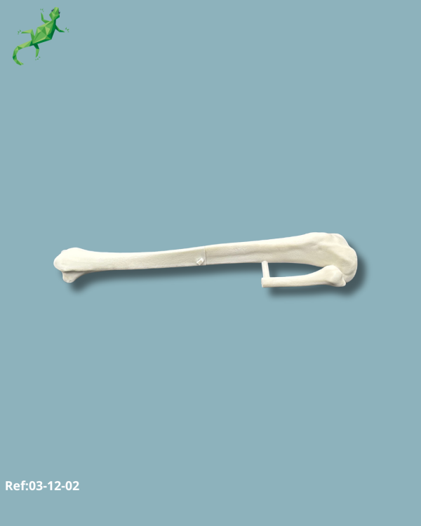 Tibia Pack / Medium / Left / Add-CORT+ Addi-ARC - Ref 03-12-02 - Image 8
