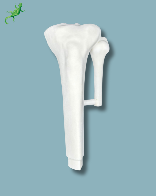 Tibia consumable part / Medium / Left / Addi-CORT+ Addi-ARC - Ref 03-13-02