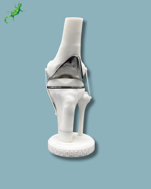 Display Knee Premium Full with cover - Ref 04-AI-01 - Image 10