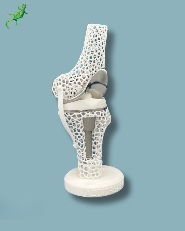Présentoir Genou Premium Lattice avec ouverture - Ref 04-AK-01 – Image 5