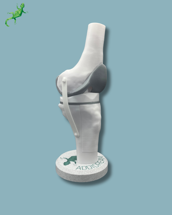 Display Knee Awareness Full with cover - Ref 04-AC-01 - Image 5