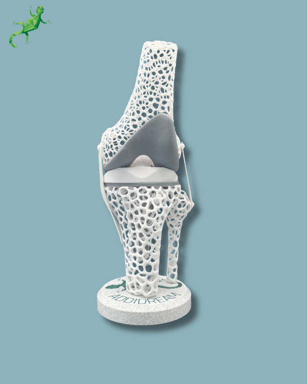 Présentoir Genou Sensibilisation Lattice avec capot - Ref 04-AF-01 – Image 8