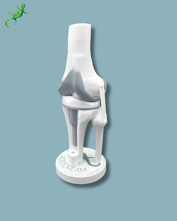 Display Knee Awareness Full with cover - Ref 04-AC-01 - Image 6