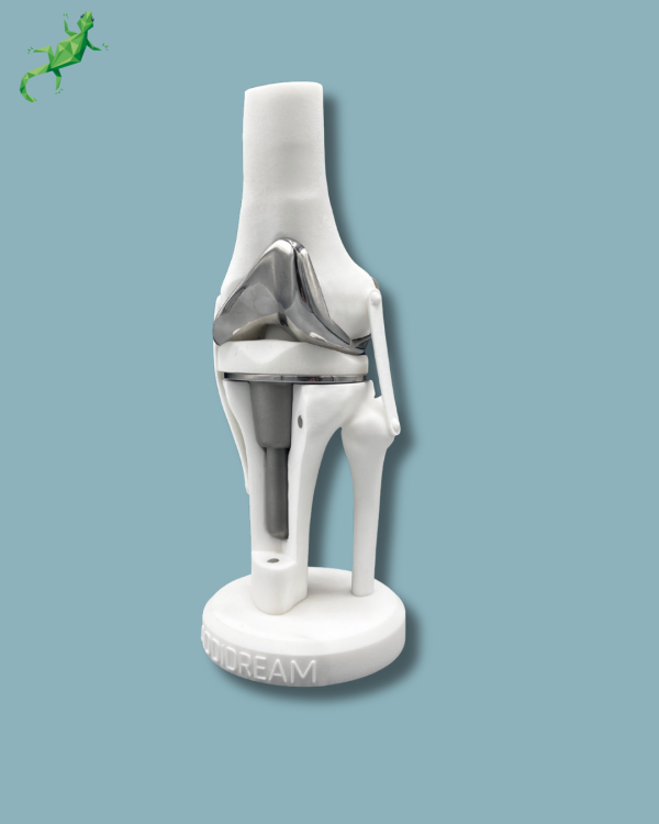 Présentoir Genou Premium Plein avec capot - Ref 04-AI-01 – Image 7
