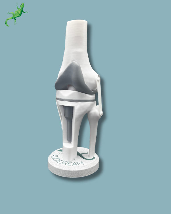 Display Knee Awareness Full with window - Ref 04-AB-01 - Image 2
