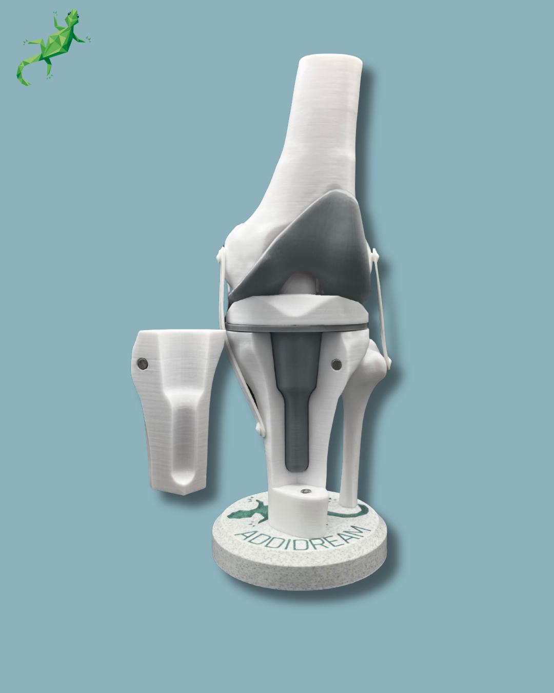Display Knee Awareness Full with cover – Ref 04-AC-01