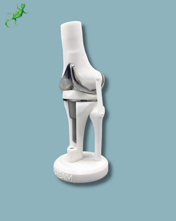 Présentoir Genou Premium Plein avec capot - Ref 04-AI-01 – Image 8