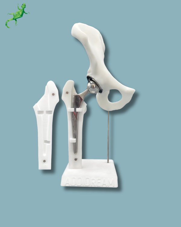 Présentoir Hanche Premium Plein avec capot - Ref 07-AI-01 – Image 2