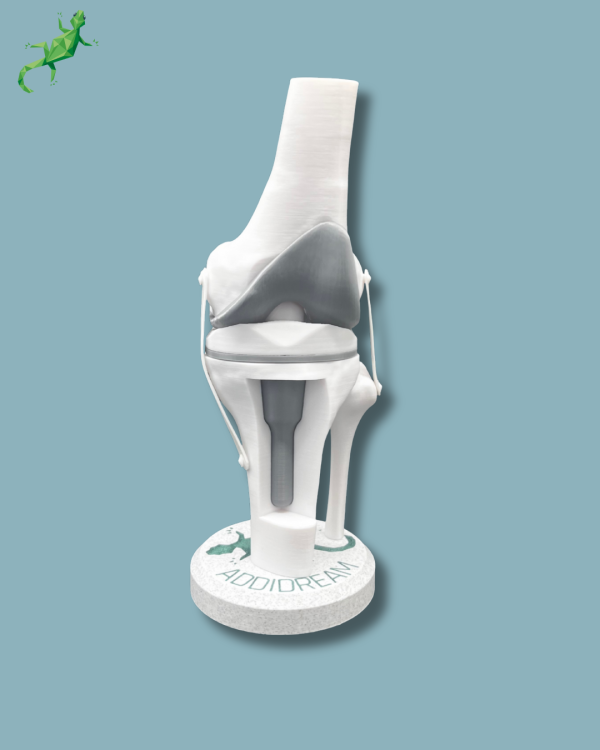 Display Knee Awareness Full with window - Ref 04-AB-01
