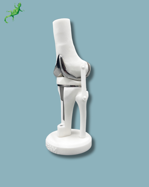 Présentoir Genou Premium Plein avec capot - Ref 04-AI-01 – Image 9