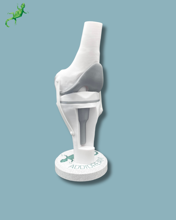 Display Knee Awareness Full with window - Ref 04-AB-01 - Image 11