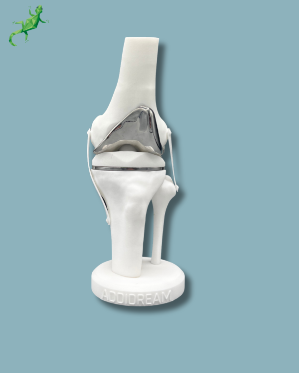 Display Knee Premium Full - Ref 04-AG-01 - Image 7
