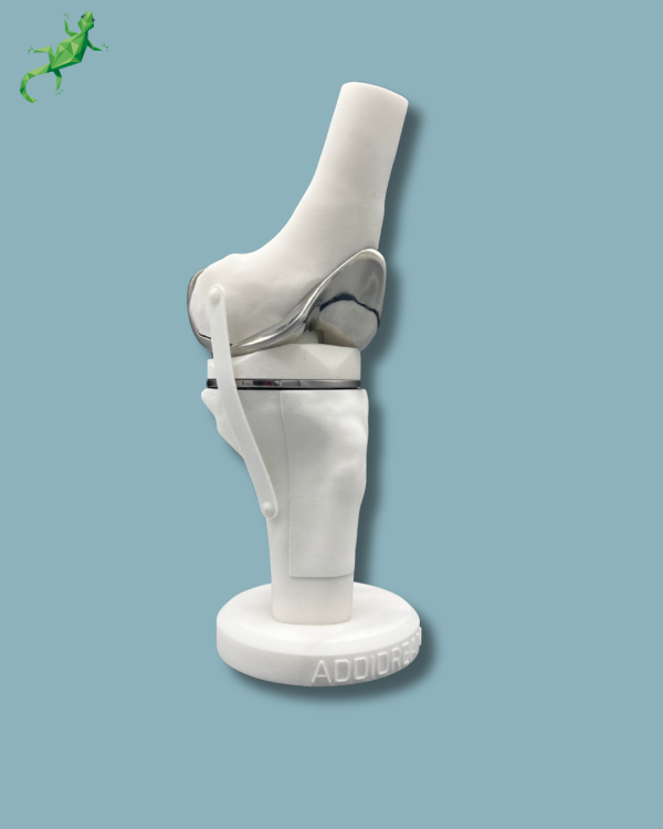 Présentoir Genou Premium Plein avec capot - Ref 04-AI-01 – Image 11