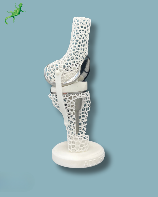 Présentoir Genou Premium Lattice avec ouverture - Ref 04-AK-01 – Image 4