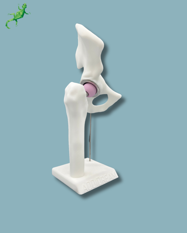 Présentoir Hanche Premium Plein avec capot - Ref 07-AI-01 – Image 10