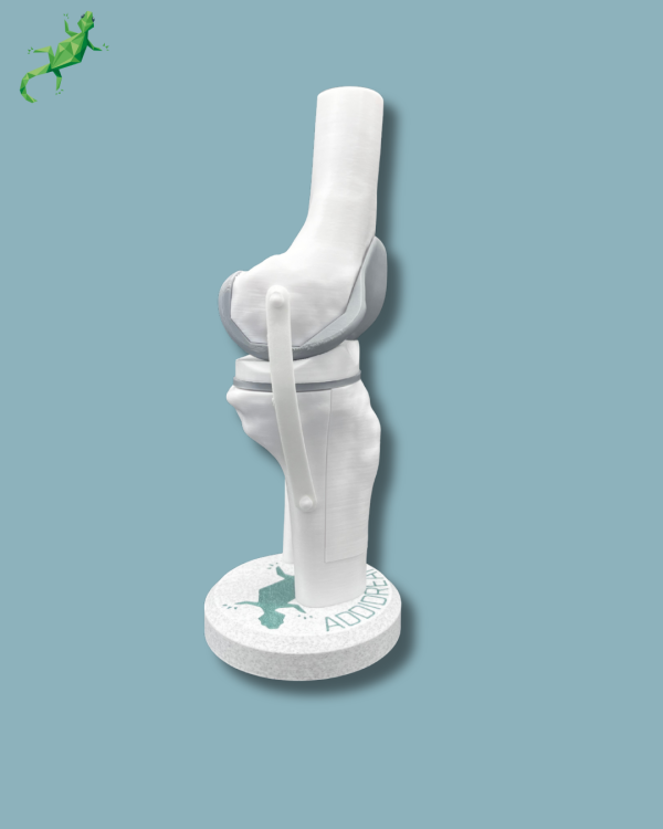 Display Knee Awareness Full with cover - Ref 04-AC-01 - Image 4