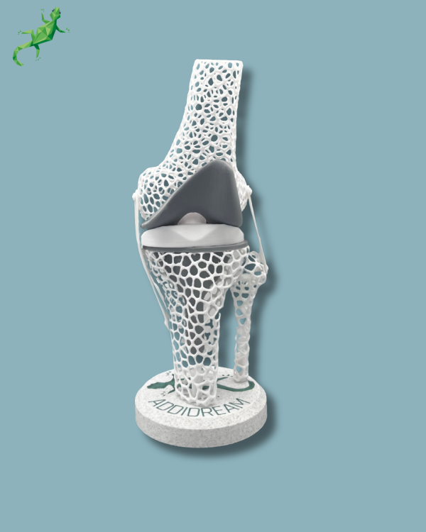 Présentoir Genou Sensibilisation Lattice - Ref 04-AD-01 – Image 7