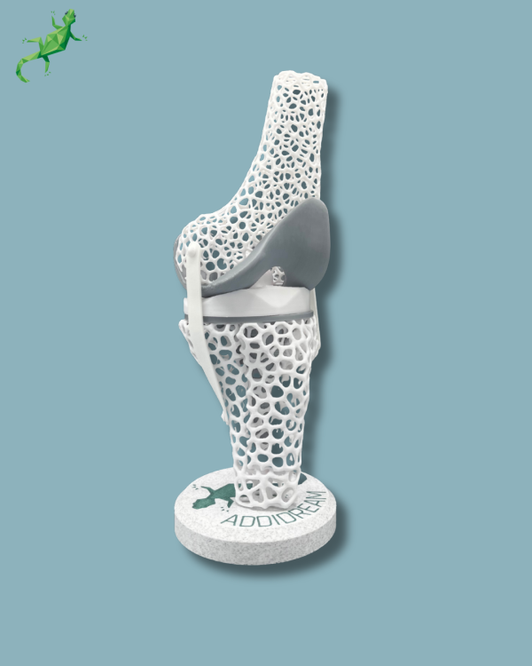Présentoir Genou Sensibilisation Lattice avec capot - Ref 04-AF-01 – Image 7